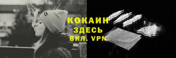 стаф Пестово