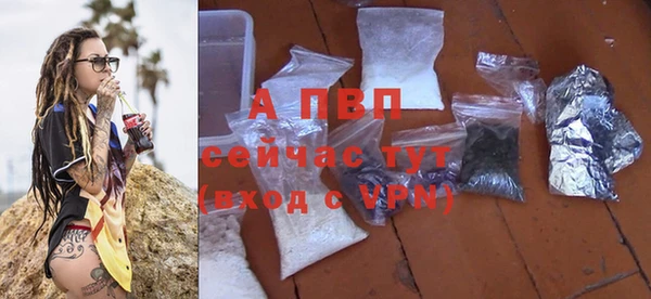стаф Пестово