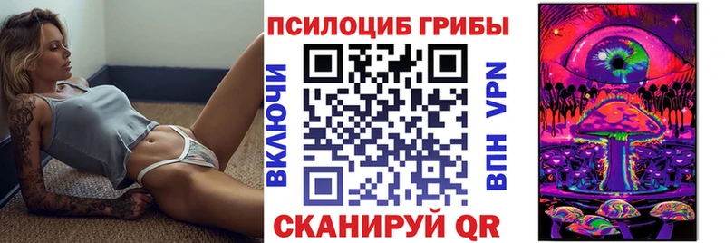 даркнет сайт  Коряжма  Галлюциногенные грибы Psilocybine cubensis 