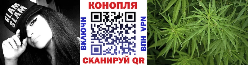 Бошки марихуана планчик  мега ссылка  Коряжма  наркота 